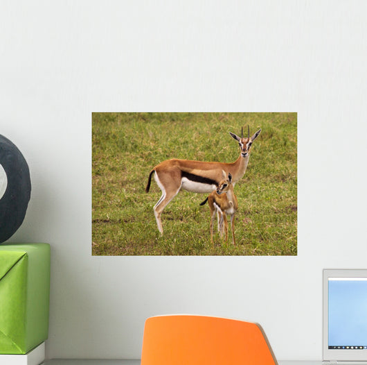 Thompson Gazelle with Baby Wall Decal