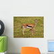 Thompson Gazelle with Baby Wall Decal