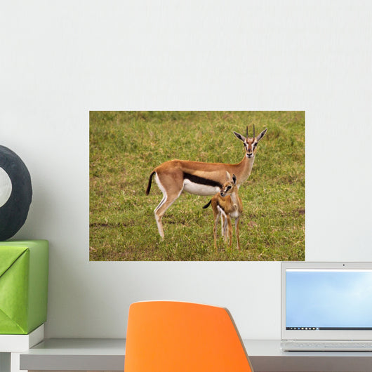 Thompson Gazelle with Baby Wall Decal