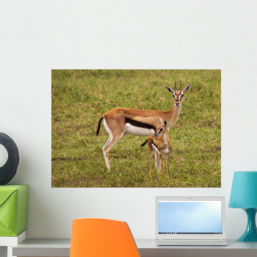 Thompson Gazelle with Baby Wall Decal