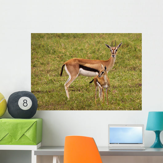 Thompson Gazelle with Baby Wall Decal