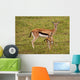 Thompson Gazelle with Baby Wall Decal