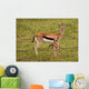 Thompson Gazelle with Baby Wall Decal