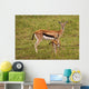 Thompson Gazelle with Baby Wall Decal