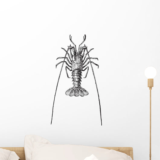 Crayfish or Crawdads Vintage Wall Decal