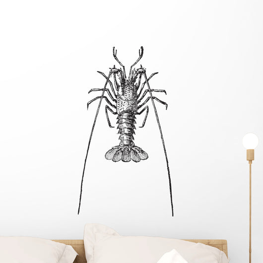 Crayfish or Crawdads Vintage Wall Decal
