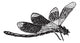 Dragonfly, vintage engraving Wall Decal
