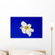 Sky Blue Wall Decal