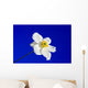 Sky Blue Wall Decal