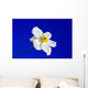 Sky Blue Wall Decal