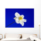 Sky Blue Wall Decal