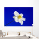 Sky Blue Wall Decal