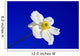 Sky Blue Wall Decal