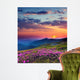Mountain Landscape at Sunset Wall Decal