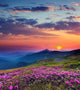 Mountain Landscape at Sunset Wall Decal
