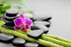 Spa Orchid Wall Decal