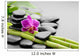 Spa Orchid Wall Decal