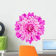 Pink Chrysanthemum Flower White Wall Decal