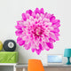 Pink Chrysanthemum Flower White Wall Decal