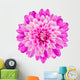 Pink Chrysanthemum Flower White Wall Decal