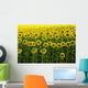 Champ Tournesol Dos Wall Decal