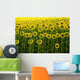 Champ Tournesol Dos Wall Decal