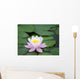 Water Lily Wall Decal