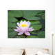 Water Lily Wall Decal