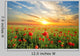 Field with Poppies Wall Decal
