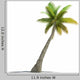 Palm Tree Rendering Wall Decal