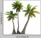 Palm Tree Trio Rendering Wall Decal