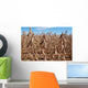 Plantacao Soja Madura Wall Decal