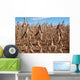 Plantacao Soja Madura Wall Decal