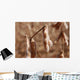 Soy Planting Mature Wall Decal