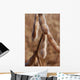 Plantacao Soja Madura Close-up Wall Decal