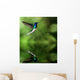 Hummingbird Water Wall Decal