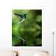 Hummingbird Water Wall Decal