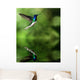 Hummingbird Water Wall Decal