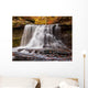 McCormick's Creek Falls Fall Wall Decal