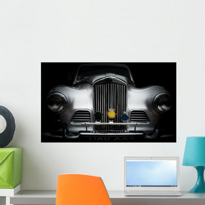 Talbot Sunbeam High Contrast Wall Decal shown on a wall