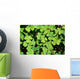 Irish Shamrock Wall Decal