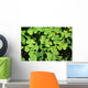 Irish Shamrock Wall Decal