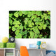 Irish Shamrock Wall Decal