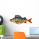 Freshwater Perch Wall Decal