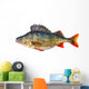 Freshwater Perch Wall Decal