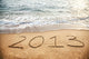 2013 New Year Wall Decal