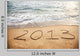 2013 New Year Wall Decal