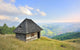 Abandoned House Wall Decal