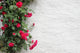 Climbing Roses White Wall Wall Decal