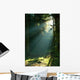 Misty Morning Coniferous Forest Wall Decal